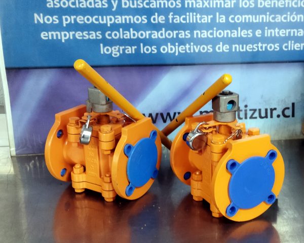 IMPORTACION DE VALVULAS DE PROCESO