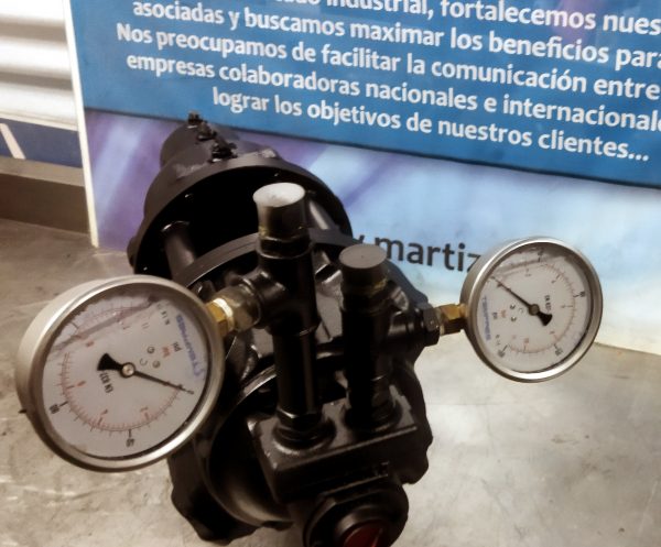 MOTOR NEUMATICO ACCIONAMIENTO POLINES DE
