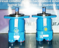 MOTORES OLEOHIDRAULICOS VICKERS